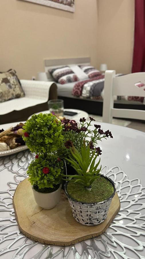Apartment Downtown Подгорица Екстериор снимка